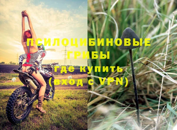 гашик Абаза