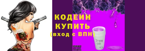 шишки Ельня